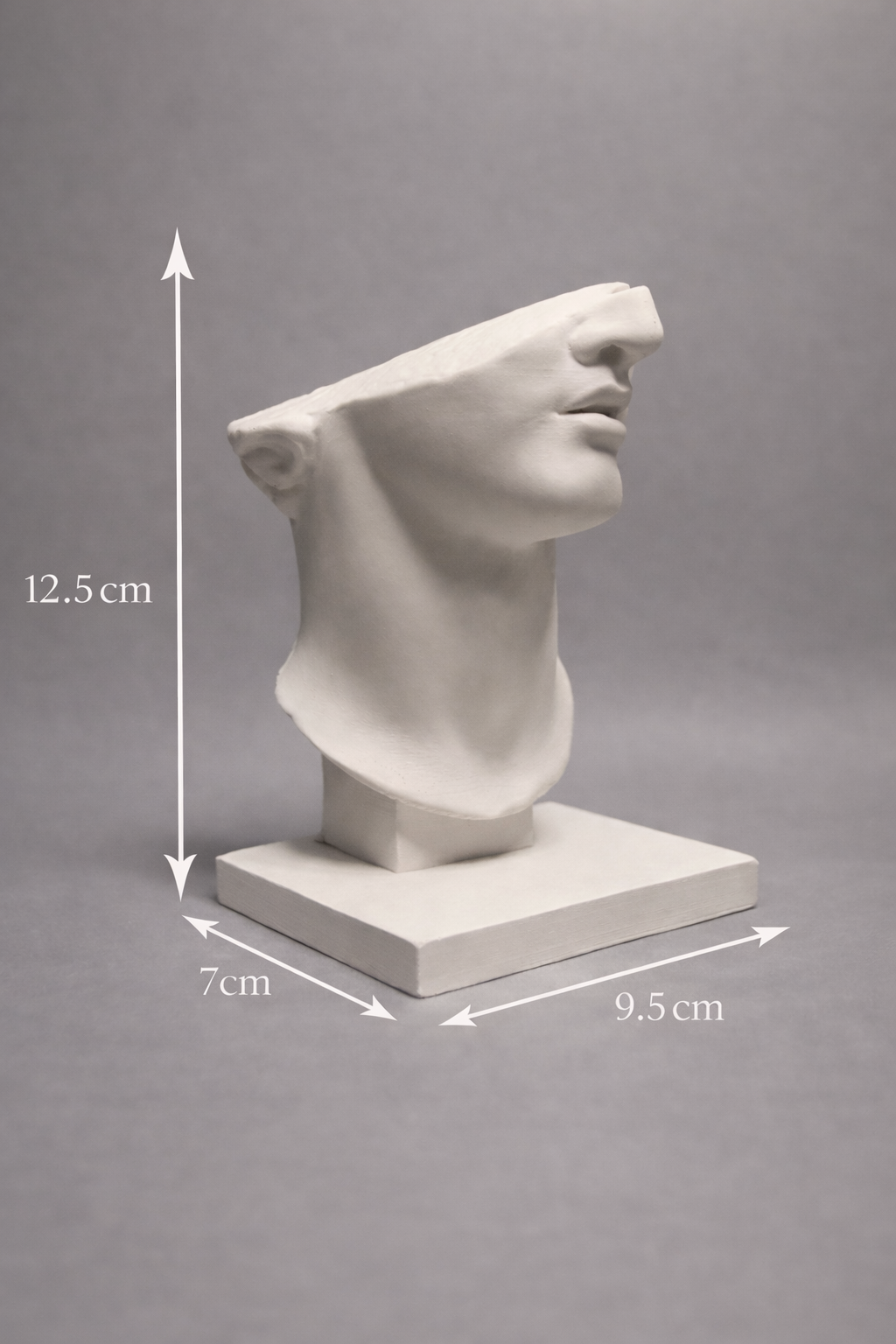 Abstract Fragment Face Sculpture